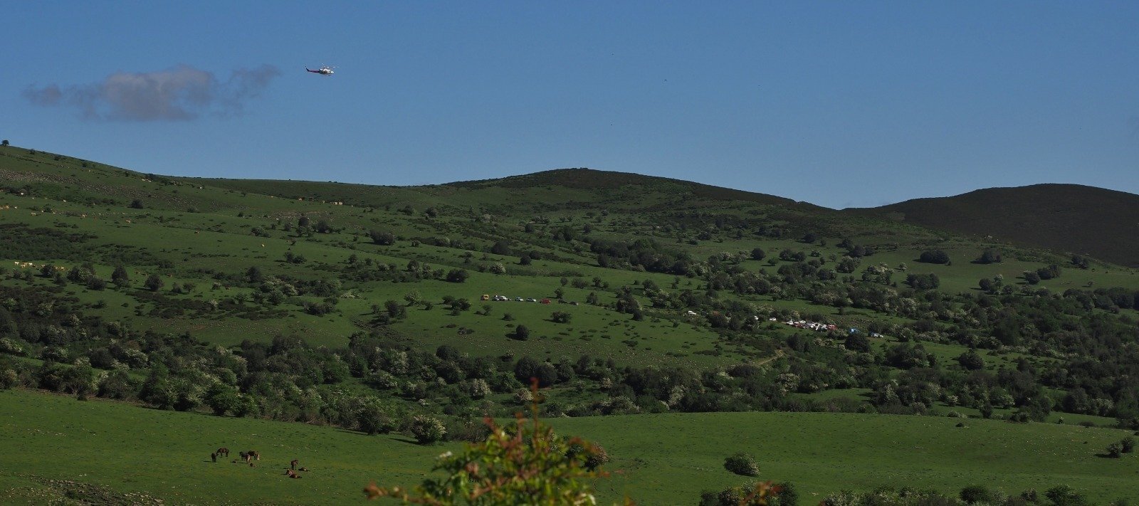 WhatsApp Image 2020-05-26 at 18.42.48