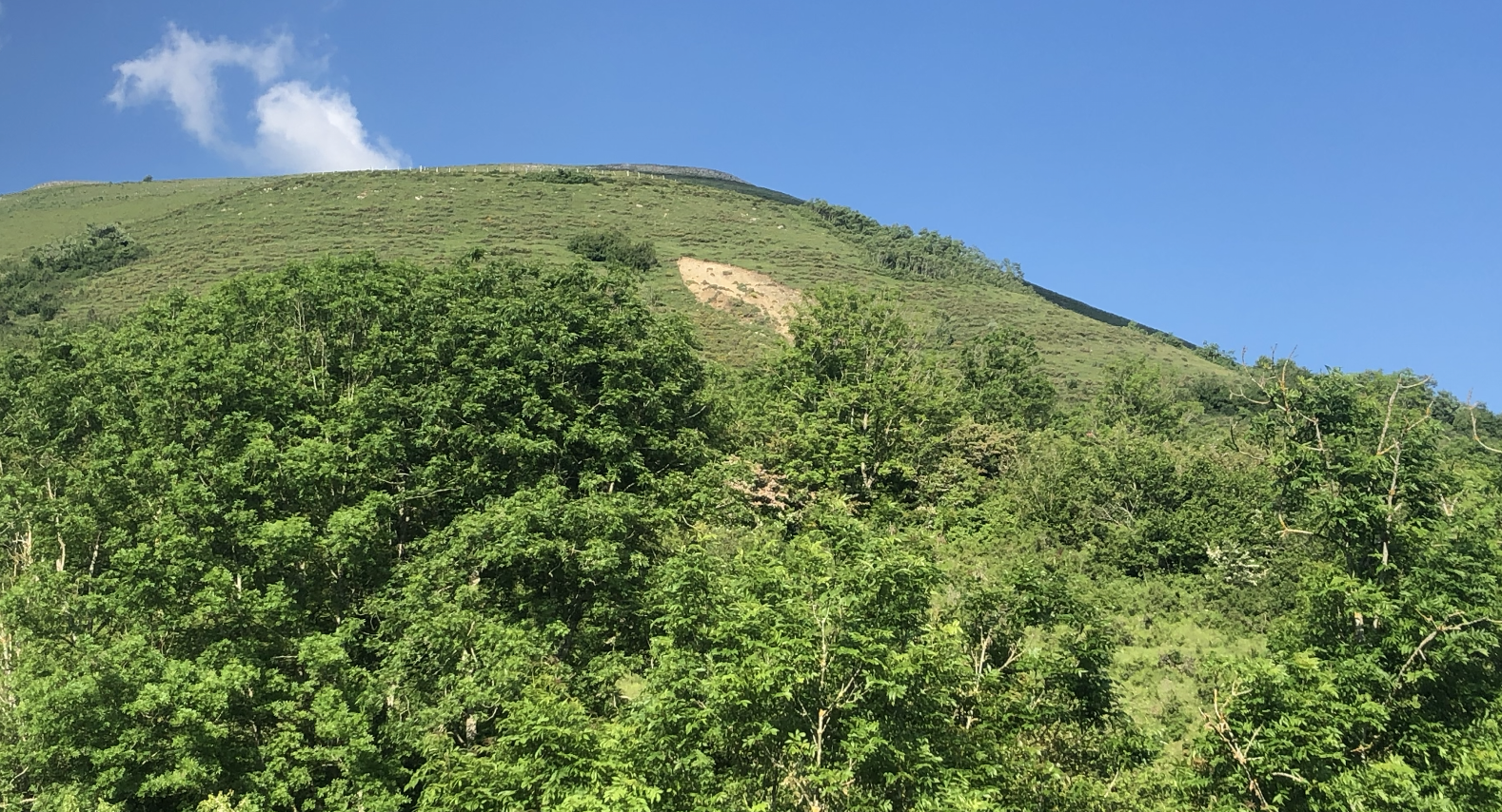 Captura de pantalla 2020-05-28 a las 19.14.29