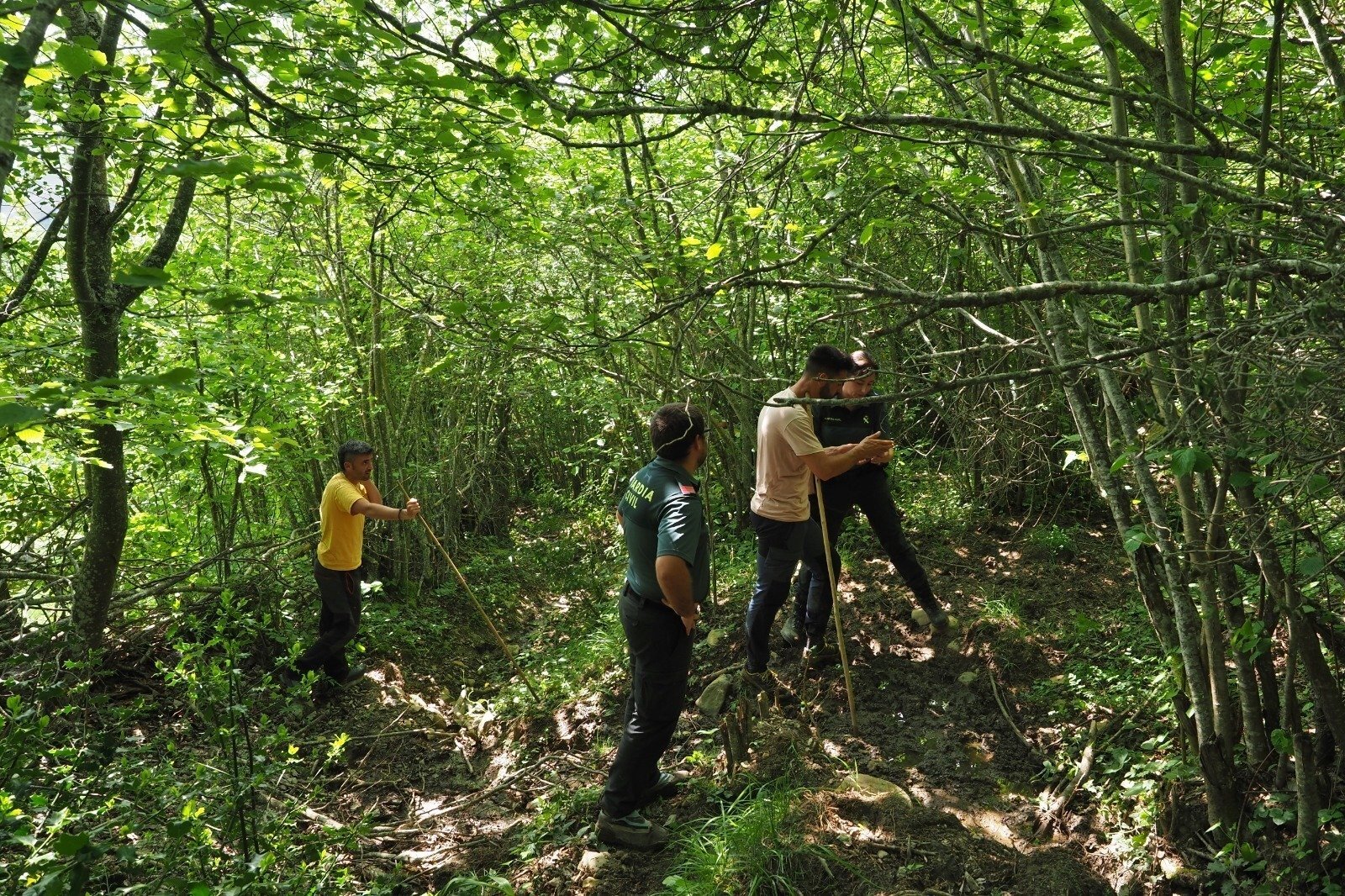 WhatsApp Image 2020-05-28 at 21.29.27 (1)