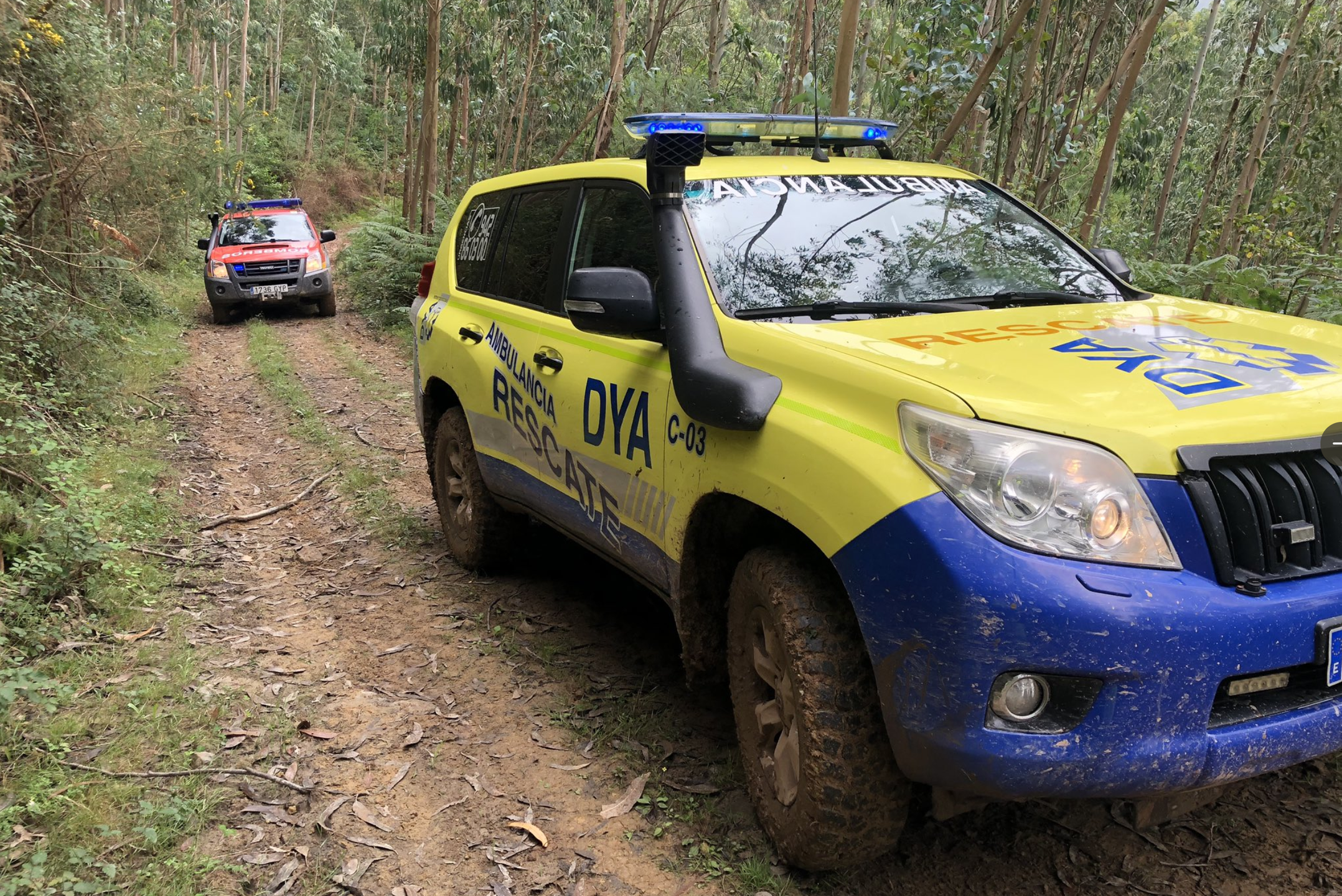 Captura de pantalla 2020-08-02 a las 16.25.41