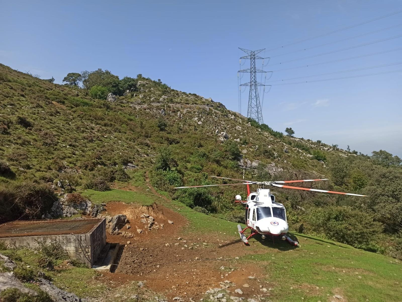 WhatsApp Image 2020-08-11 at 15.48.17