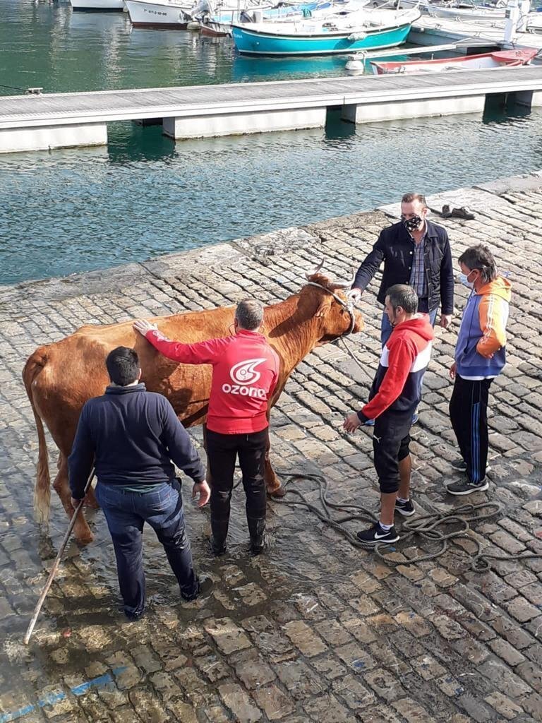 B6A2F5DC-DDBE-4B4B-8BD6-FD028FE1B0FC