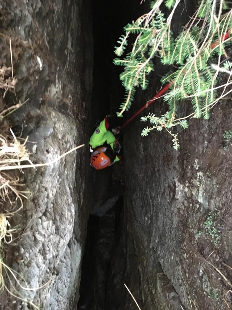 WhatsApp Image 2021-02-14 at 18.35.45 (1)