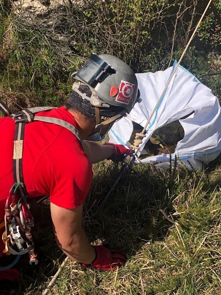 177565252_2869071590016544_3618464488109222837_n