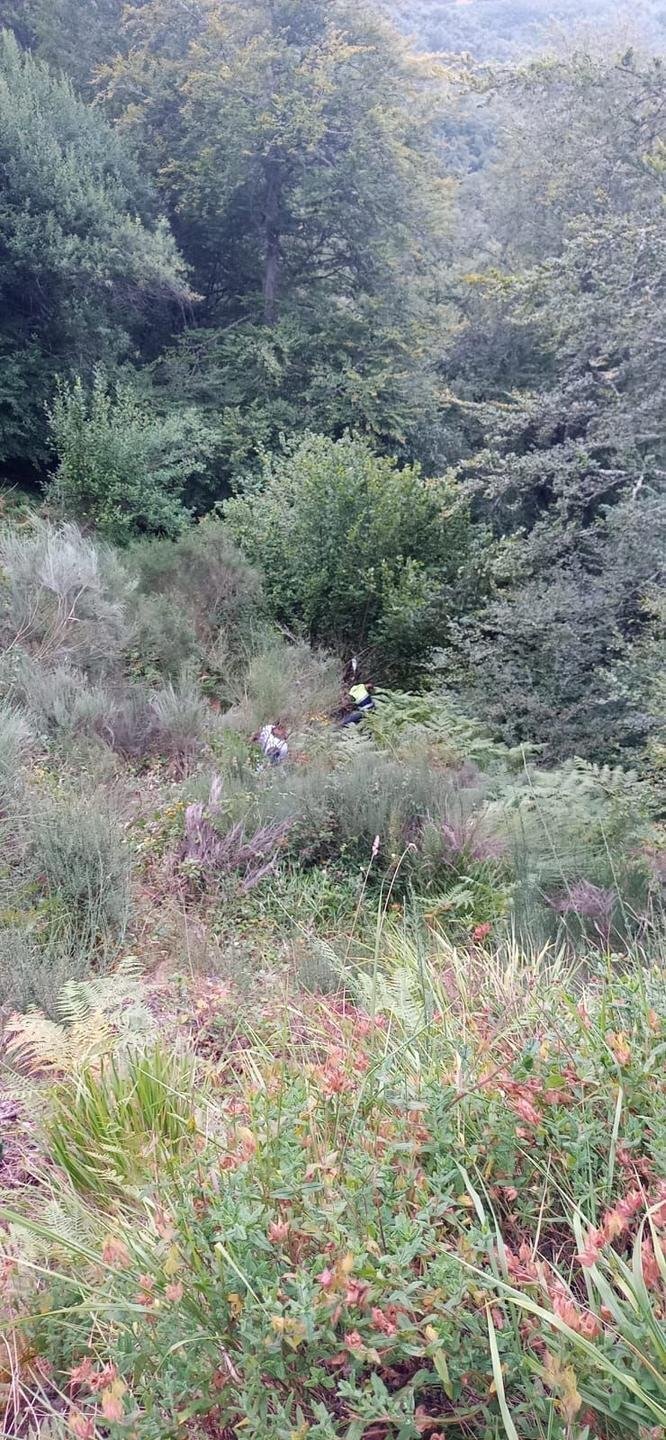 WhatsApp Image 2021-08-19 at 09.29.32