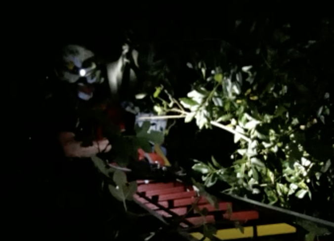 Captura de pantalla 2021-09-06 a las 11.22.34