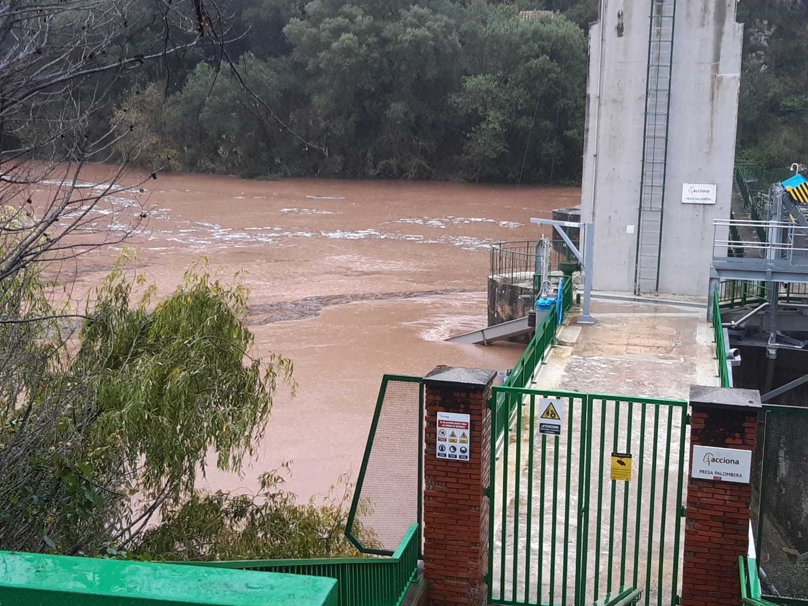 WhatsApp Image 2021-11-24 at 12.26.41