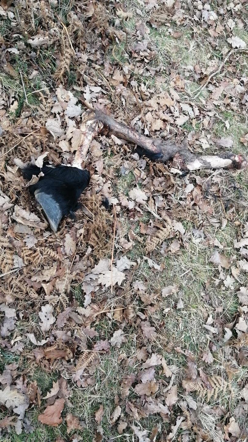 PHOTO-2022-01-03-14-50-31 2