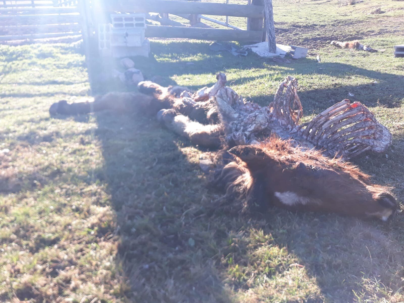 PHOTO-2022-01-03-14-50-16