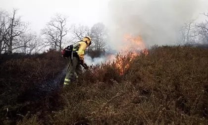 Activado el nivel 2 del operativo contra incendios forestales