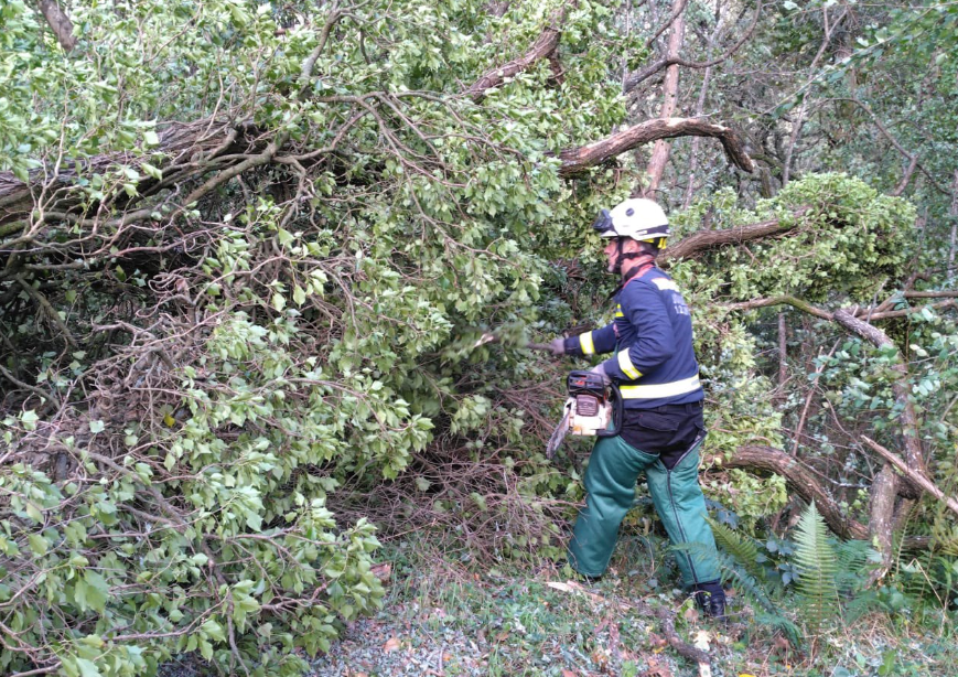 Captura de pantalla 2022-10-23 a las 20.43.52