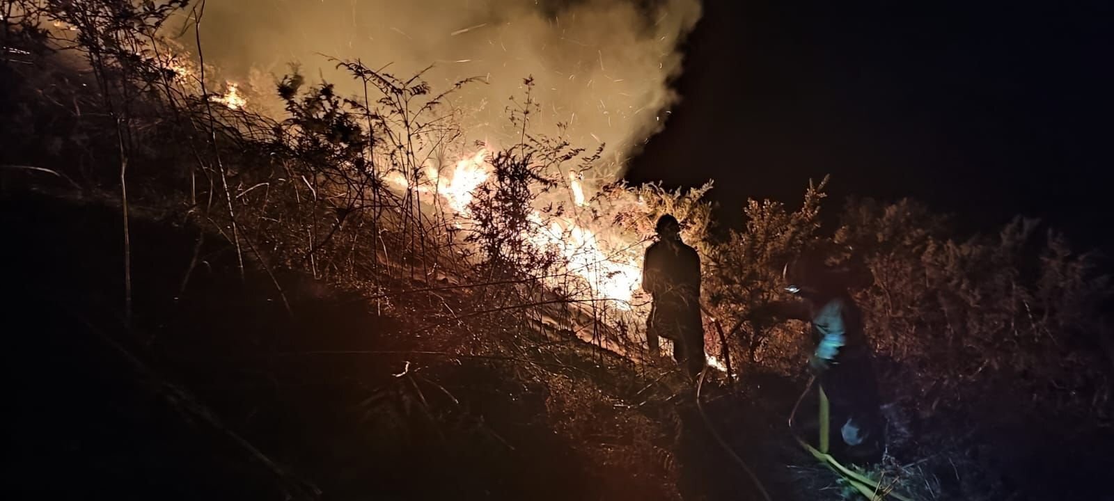 WhatsApp Image 2022-10-27 at 11.07.49 AM