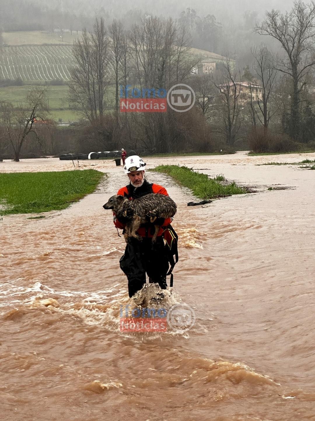 WhatsApp Image 2023-01-16 at 17.23.22 (2)