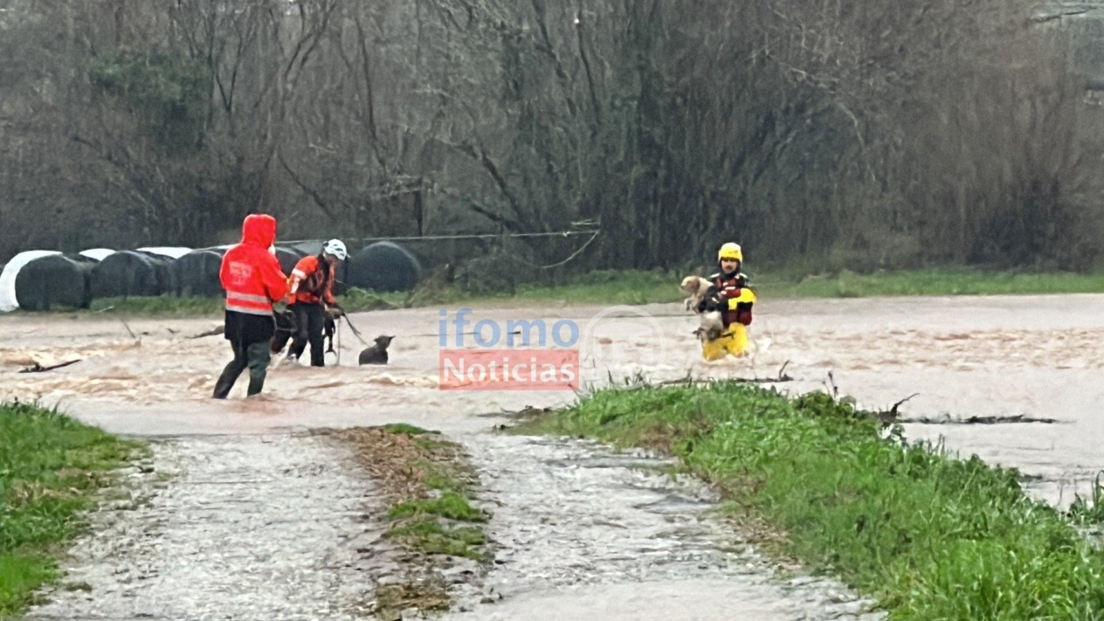 WhatsApp Image 2023-01-16 at 17.23.22