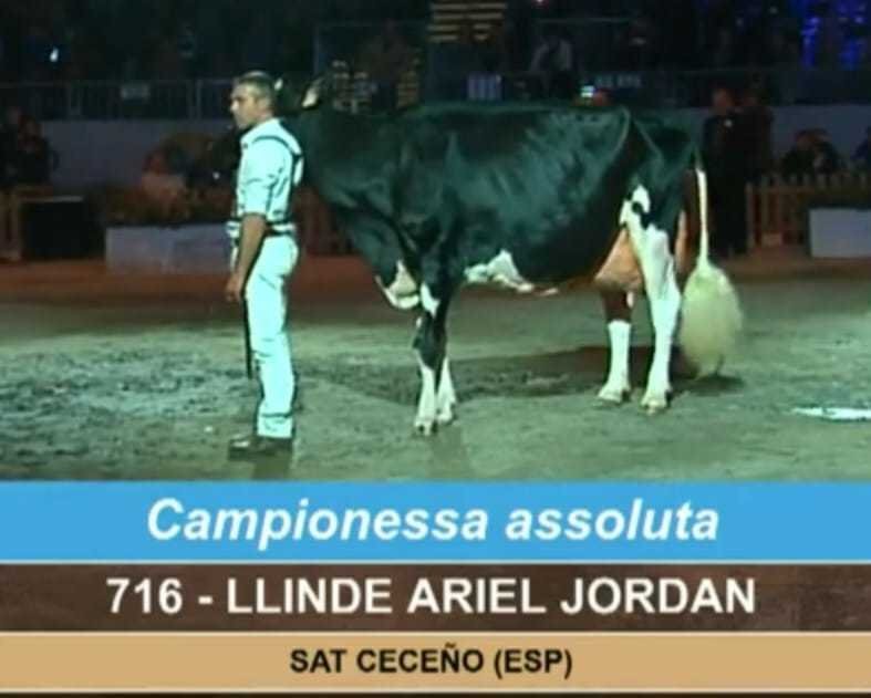 401409338_925409062285749_8938212573183008697_n