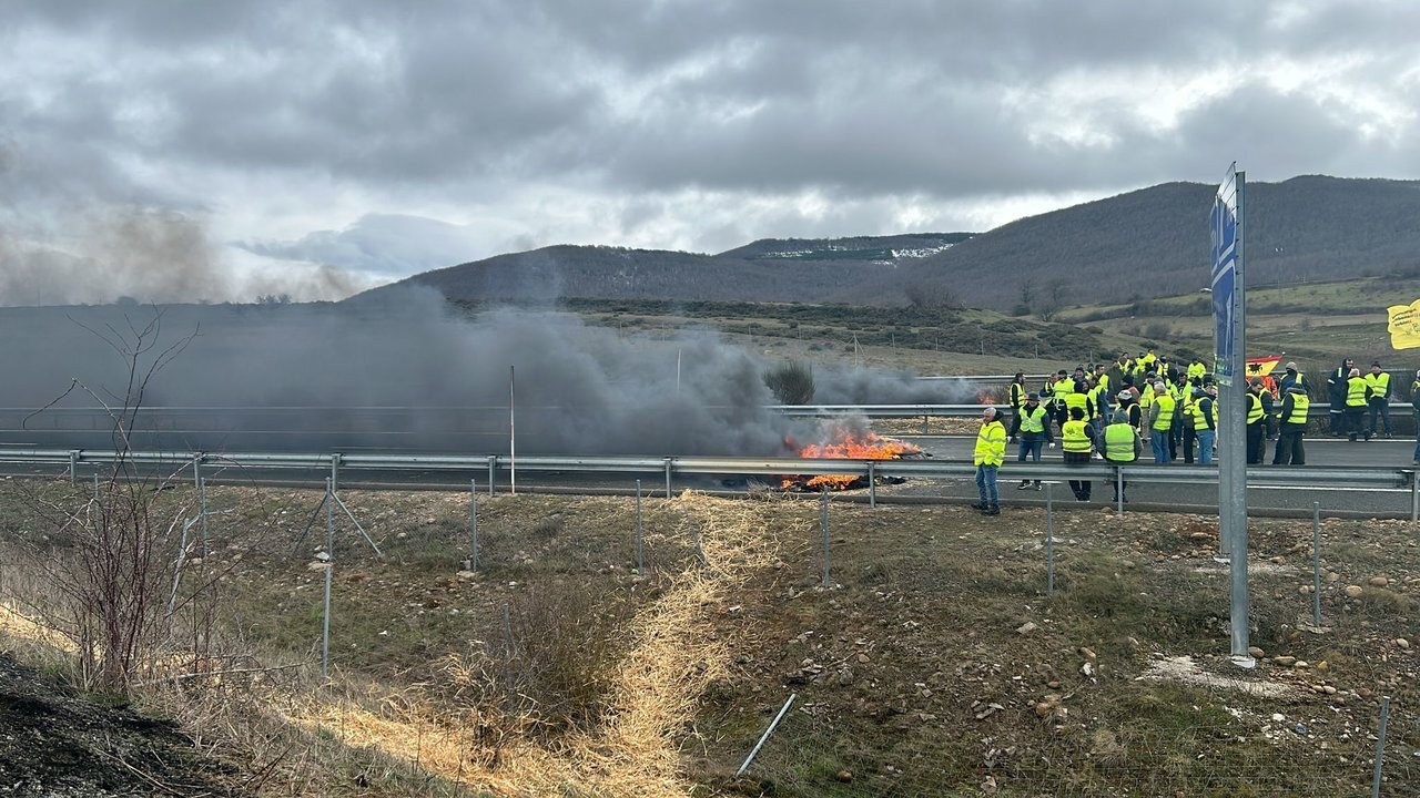 WhatsApp Image 2024-03-01 at 12.15.36