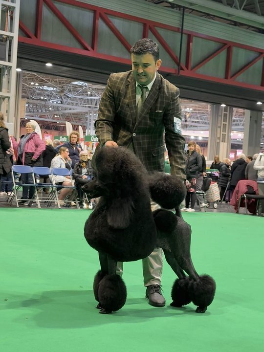 Centro Canino Besaya 2