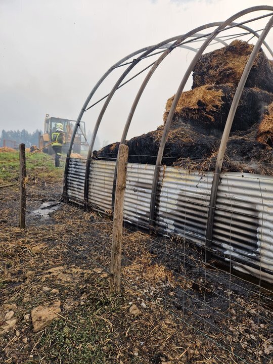 WhatsApp Image 2024-04-06 at 21.23.37