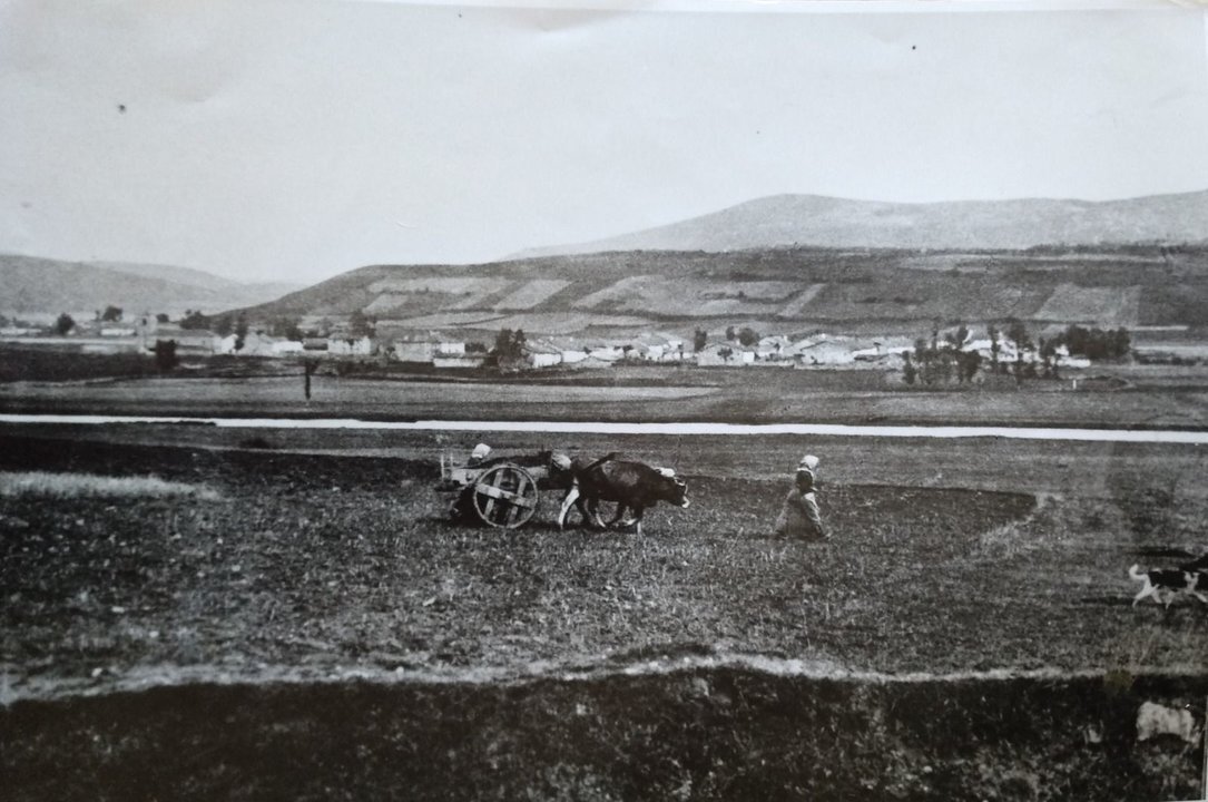 Imagen de WhatsApp 2024-04-30 a las 21.36.17_37f628e5