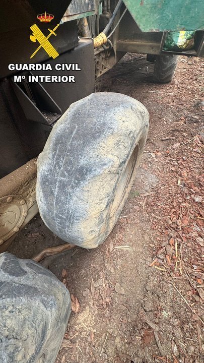 Imagen de WhatsApp 2024-07-05 a las 12.41.16_e9e8d9c2