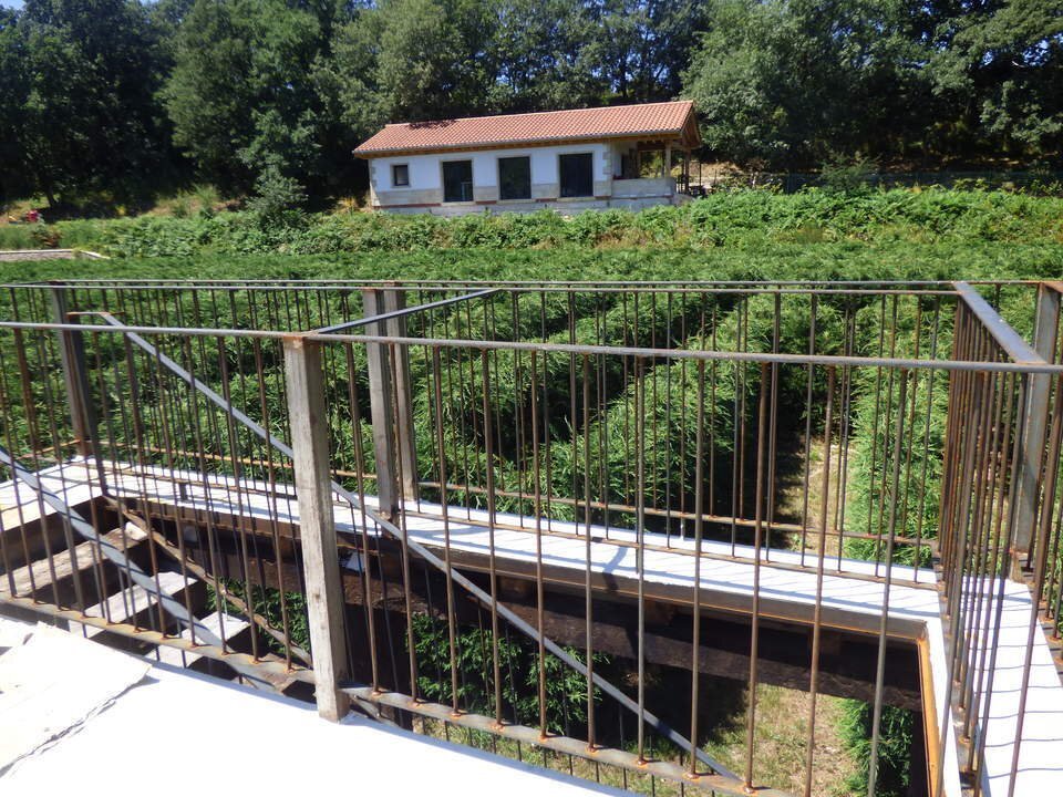 Vista del laberinto desde la tribuna