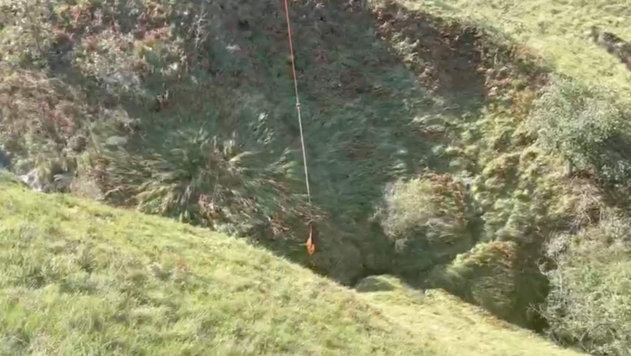 Captura de pantalla 2024-09-24 a las 20.46.57