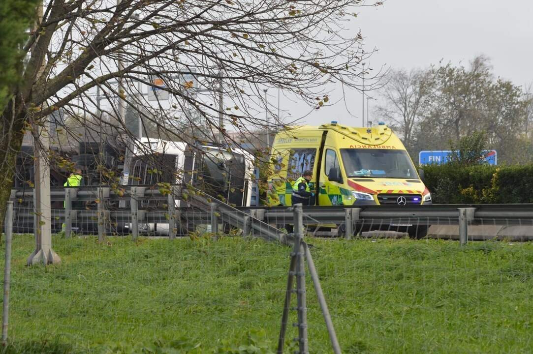 WhatsApp Image 2024-12-08 at 11.41.50