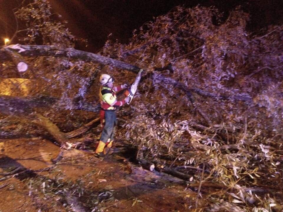 WhatsApp Image 2024-12-09 at 07.21.50 (1)