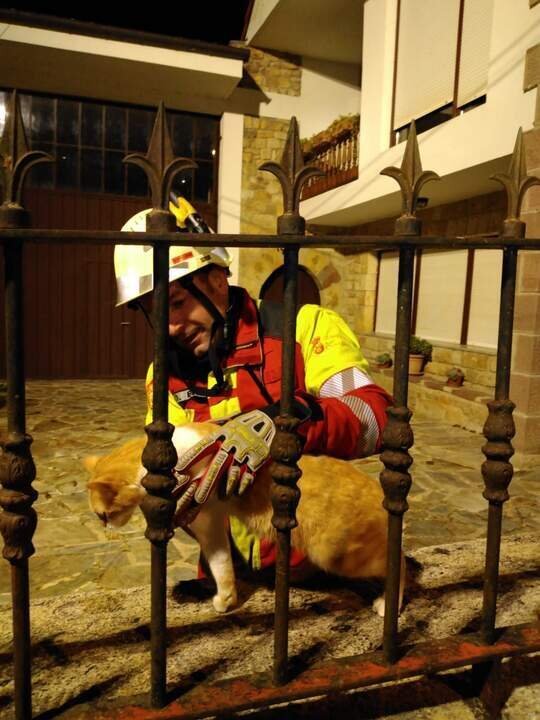 WhatsApp Image 2025-01-01 at 19.31.44