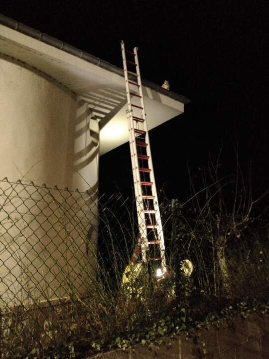 WhatsApp Image 2025-01-01 at 19.31.45