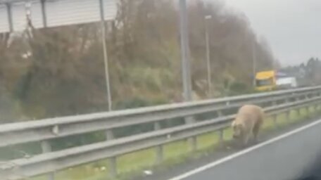 Captura de pantalla 2025-01-30 a las 14.29.18