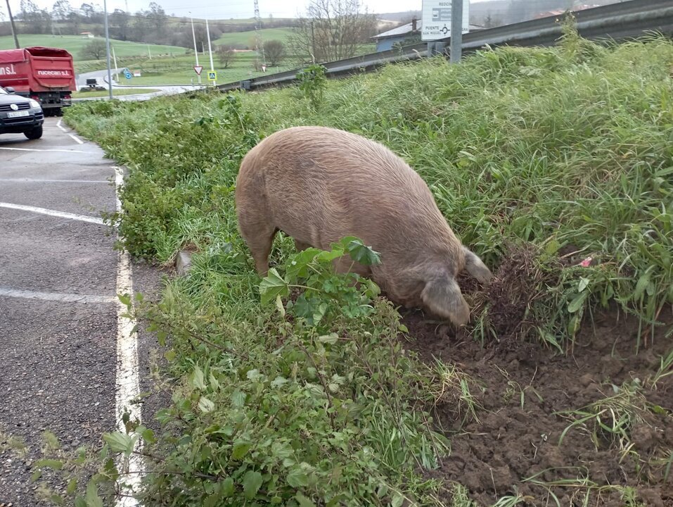 475331685_919079037082232_2815126650696340932_n