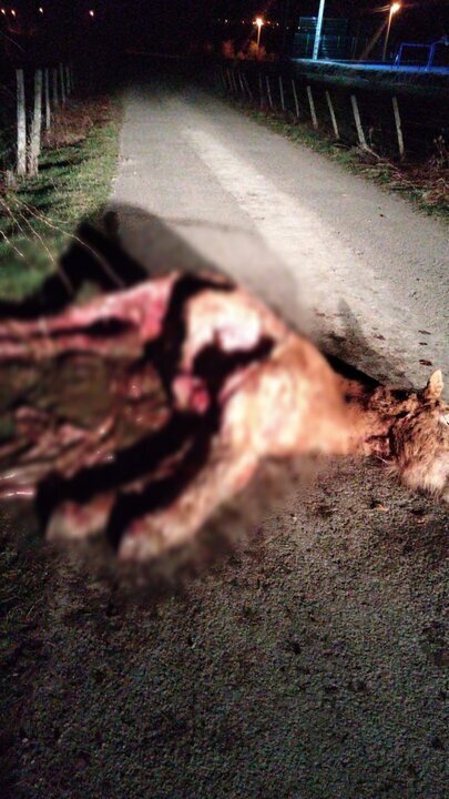 Facetune_27-02-2025-21-38-39