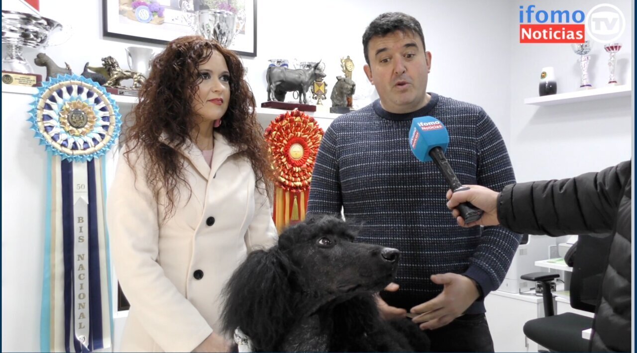 Captura de pantalla 2025-03-26 a las 22.54.33