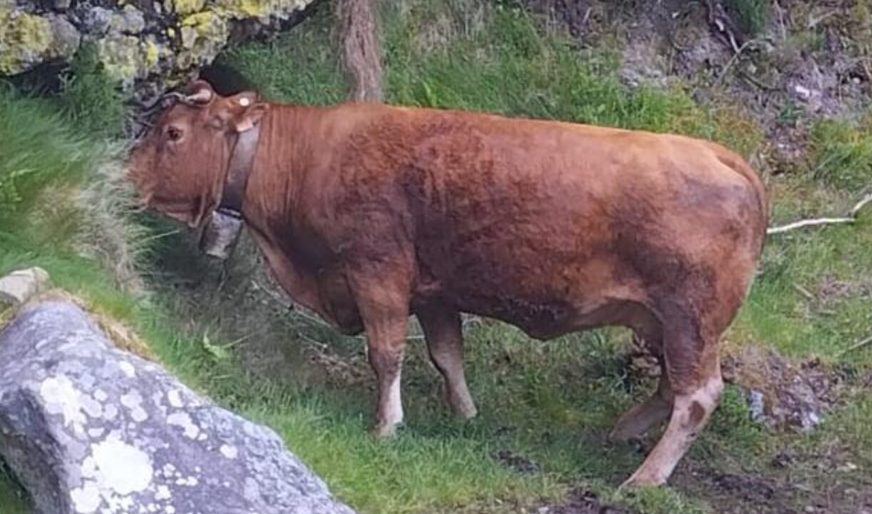 Captura de pantalla 2025-06-17 a las 20.26.19