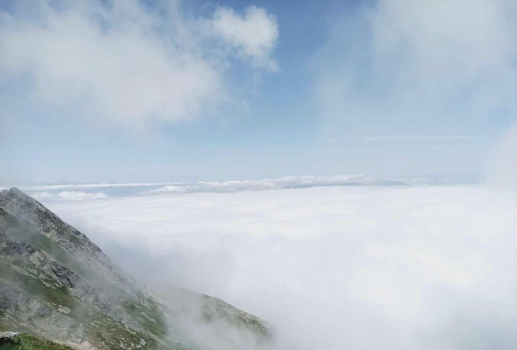 WhatsApp Image 2025-07-05 at 14.51.17