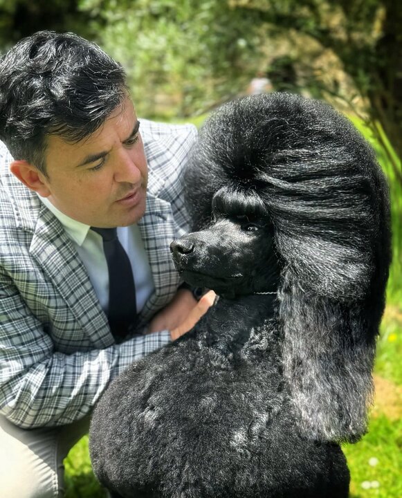 Imagen de WhatsApp 2025-08-11 a las 16.23.09_bf24c256