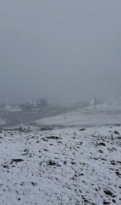 Captura de pantalla 2025-09-22 a las 18.37.18
