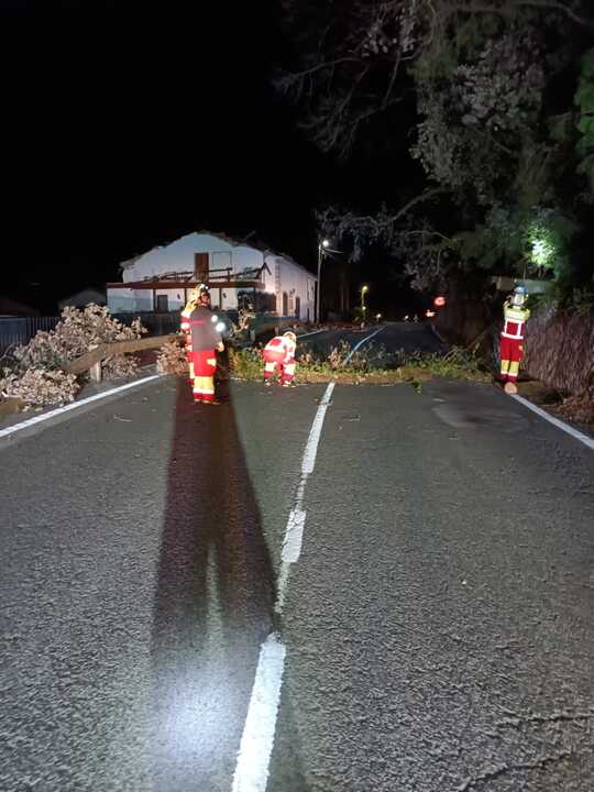 WhatsApp Image 2025-11-14 at 09.36.46