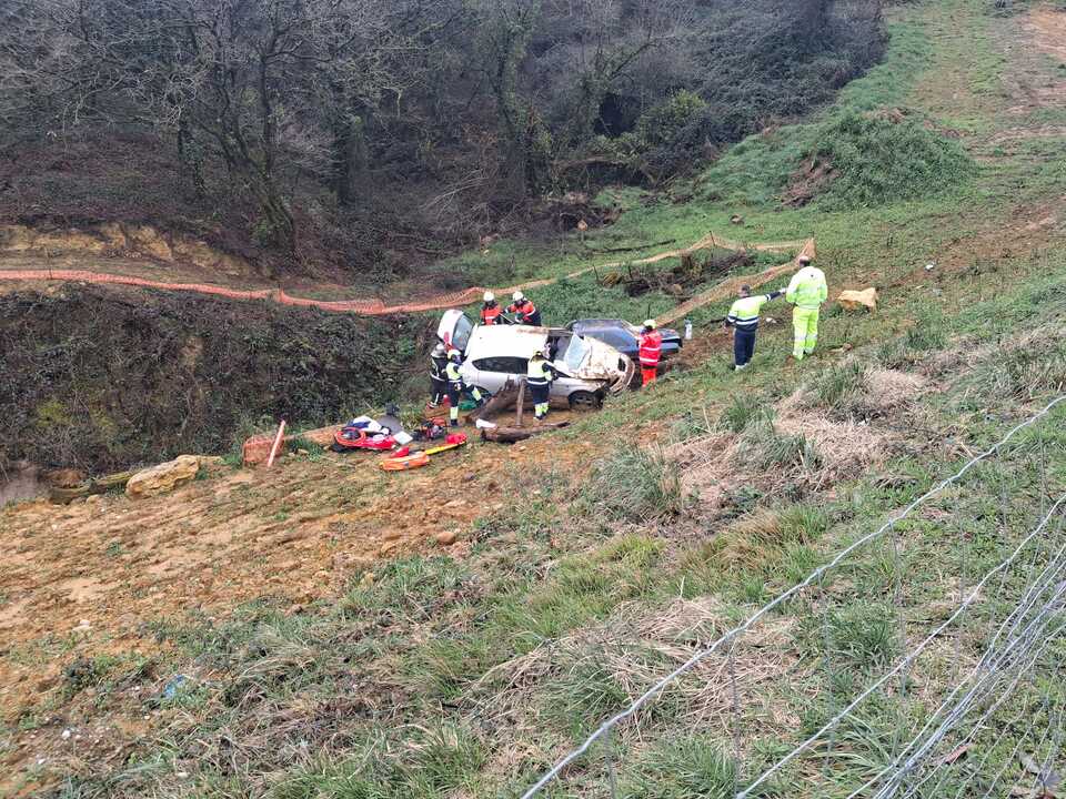 WhatsApp Image 2026-02-17 at 12.13.17