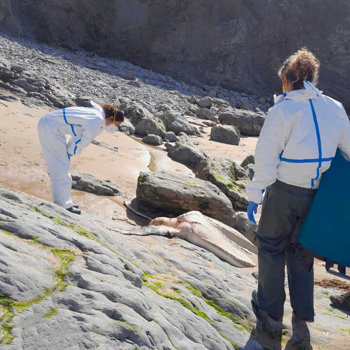 653008340_859728280458492_4013929888172407620_n